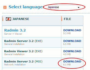 Download an installation from www.radmin.com